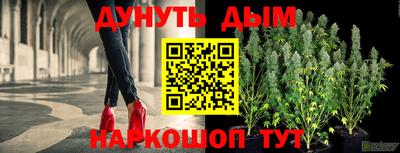 прущие грибы Гусиноозёрск