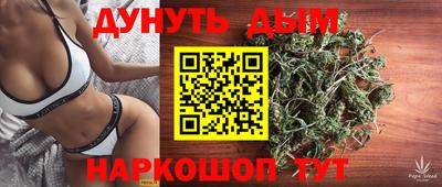 прущие грибы Гусиноозёрск