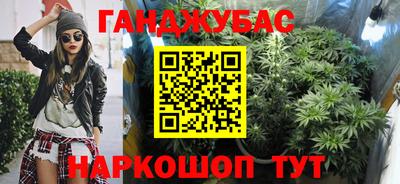 прущие грибы Гусиноозёрск