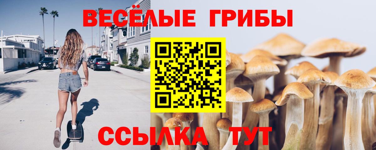 Псилоцибиновые грибы Cubensis Краснокаменск