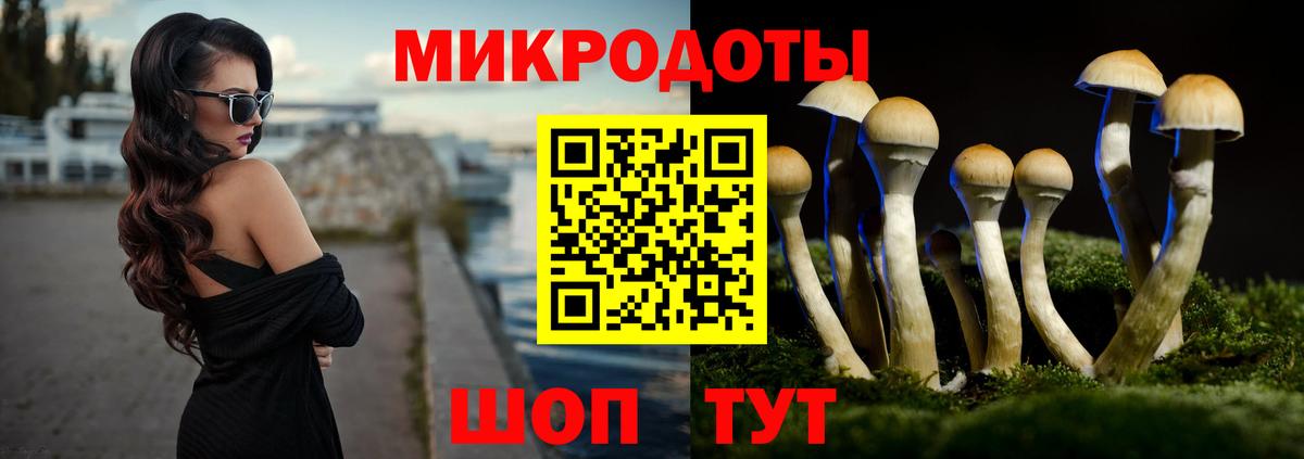 Краснокаменск  Галлюциногенные грибы мухоморы  Вход с VPN  сколько стоит  Галлюциногенные грибы Psilocybine cubensis 